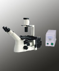 converted  Binocular fluorescent microscope