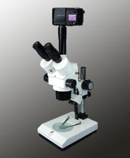 XTS30 digital photographic stereo microscope